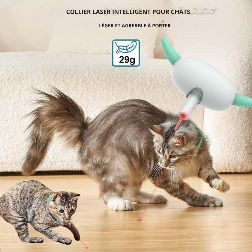 Collier Laser Automatique pour Chat – Rechargeable USB | Cervora