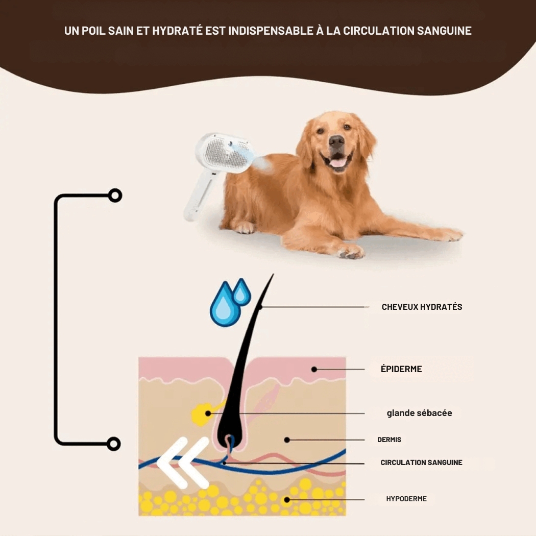 Brosse Vapeur pour Chien & Chat – Anti-Poils Rechargeable | Cervora