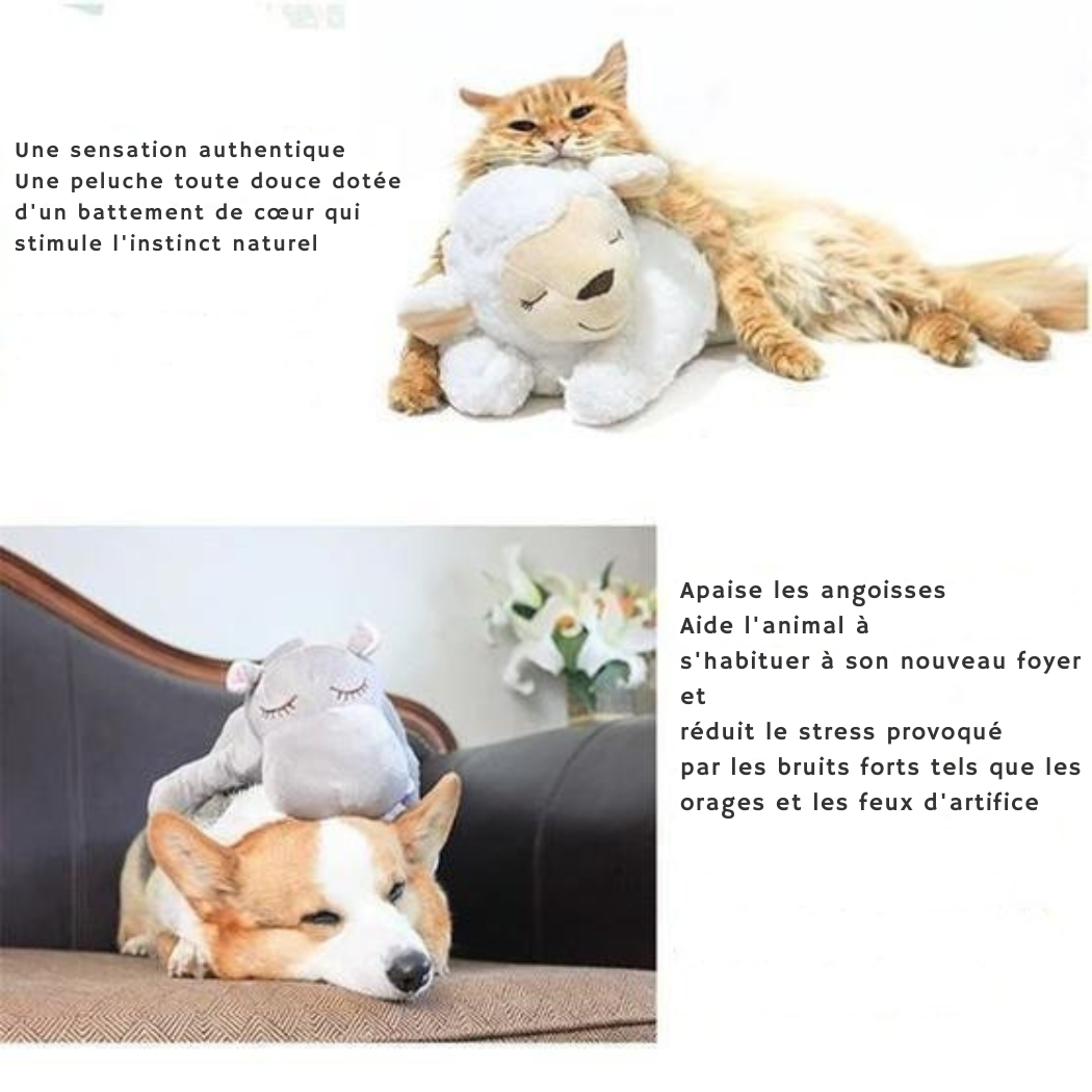 Peluche Apaisante pour Chien avec Battements de Cœur | Cervora