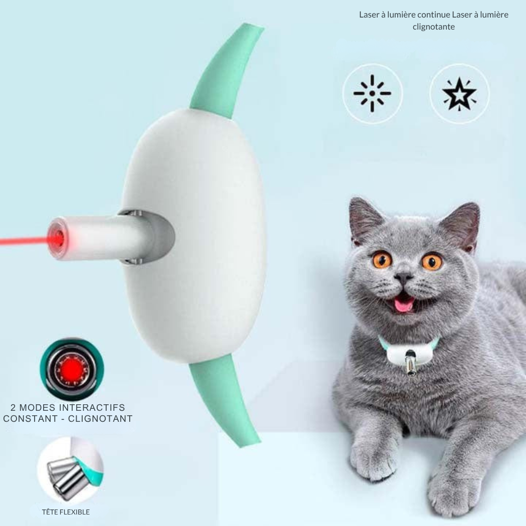 Collier Laser Automatique pour Chat – Rechargeable USB | Cervora