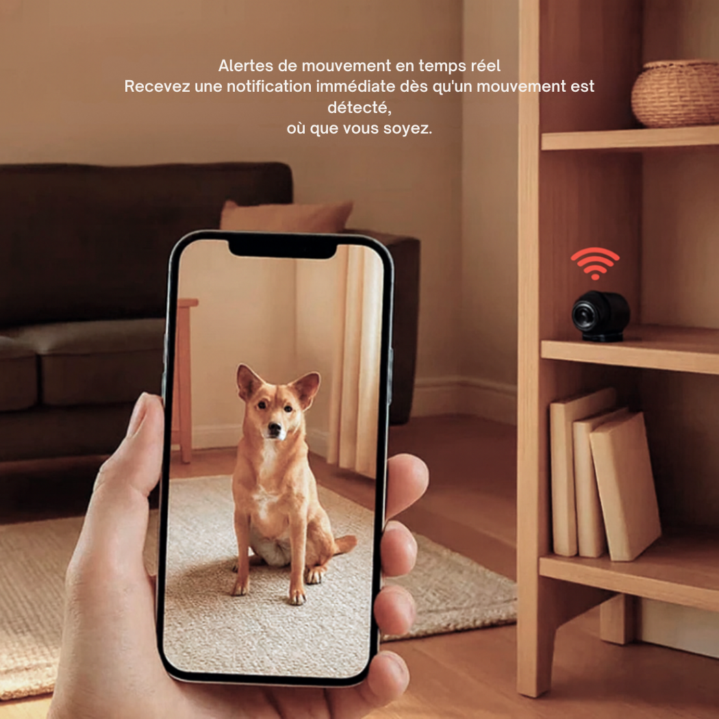 Mini Caméra WiFi 1080p avec Carte 32 Go | Cervora