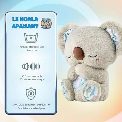 Koala Apaisant avec Battements de Cœur & Sons | Cervora
