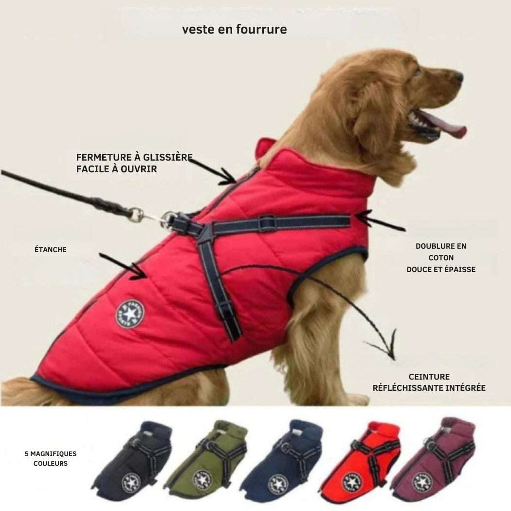 Manteau d’Hiver pour Chien avec Harnais Intégré | Cervora