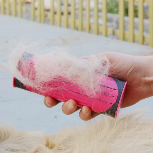 Brosse Pour Chien et Chat 3-en-1